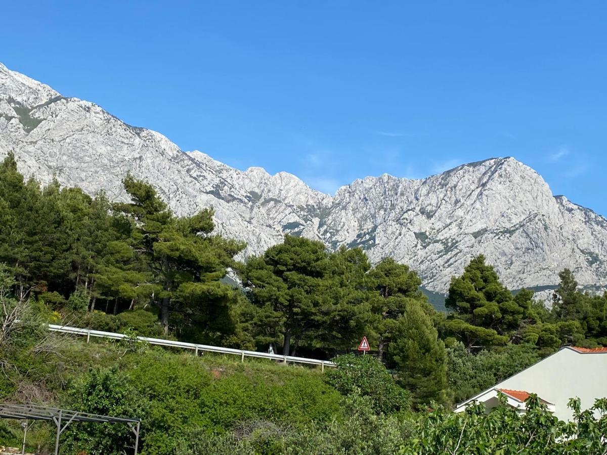 Apartmani Jukanovic 바스카보다 외부 사진